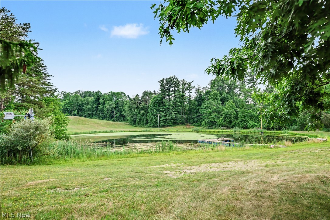 10036 Wilson Mills Road Property Photo 16