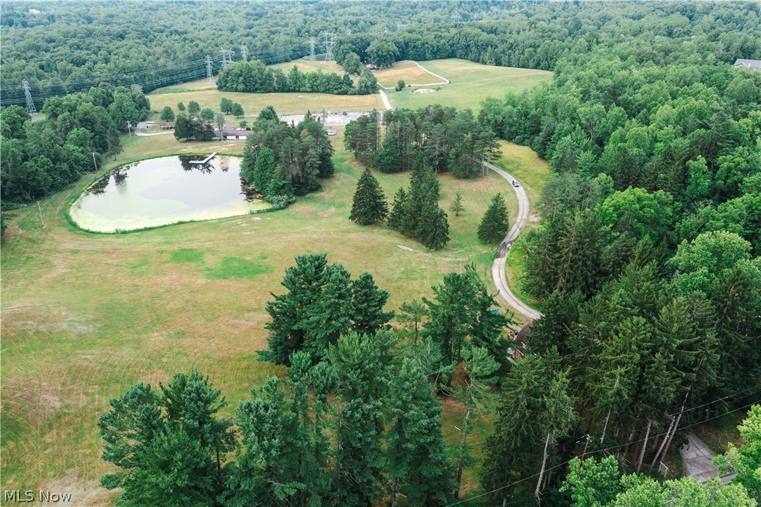 10036 Wilson Mills Road Property Photo 24