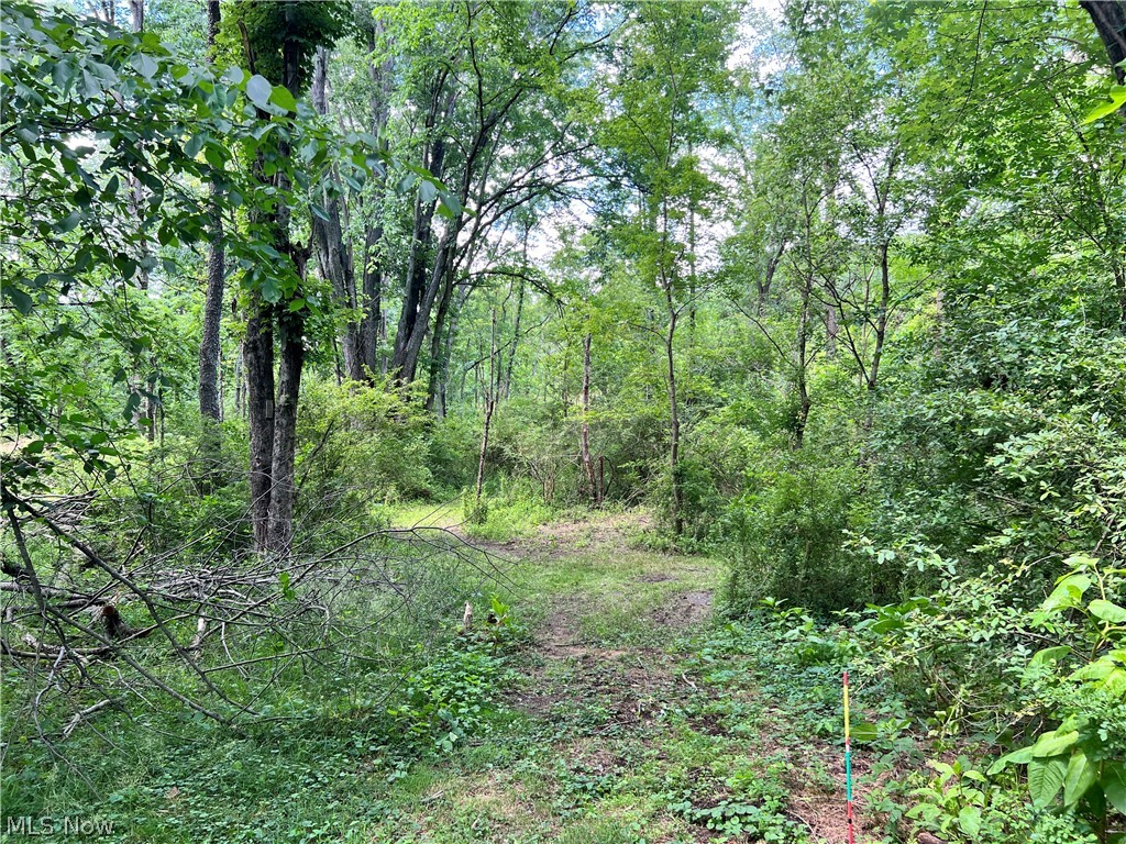 0 Snyder Drive Property Photo 20