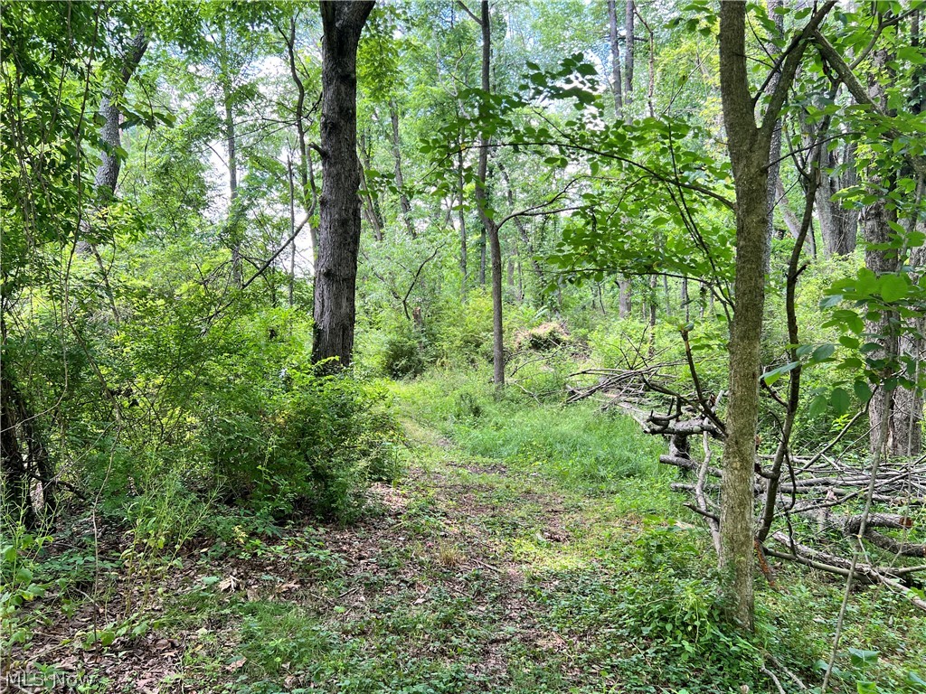 0 Snyder Drive Property Photo 21