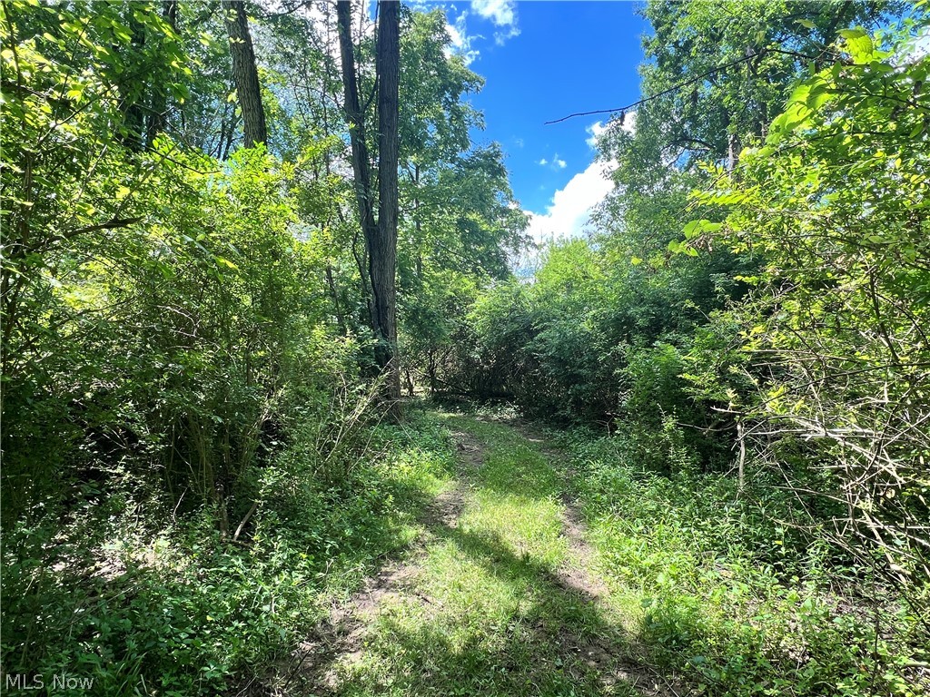 0 Snyder Drive Property Photo 22