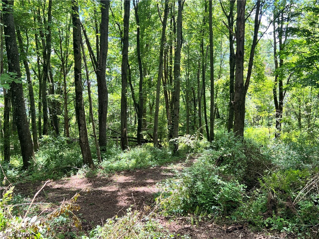 0 Snyder Drive Property Photo 27