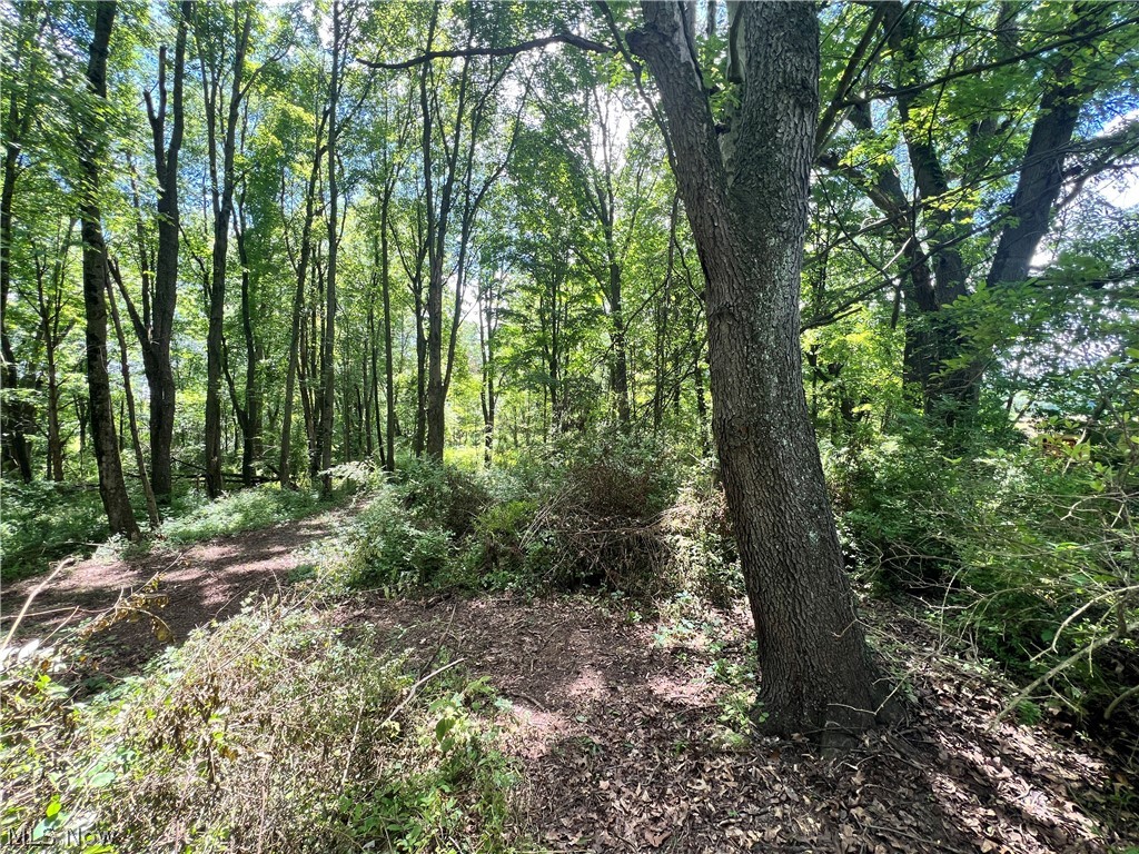 0 Snyder Drive Property Photo 28