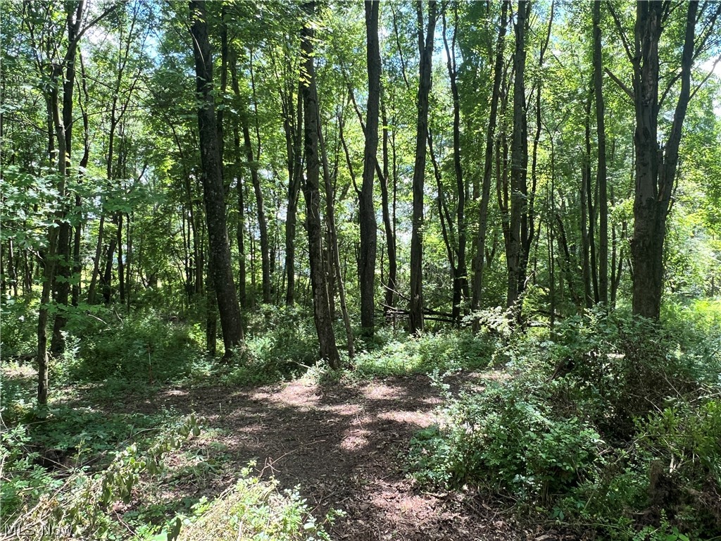0 Snyder Drive Property Photo 29