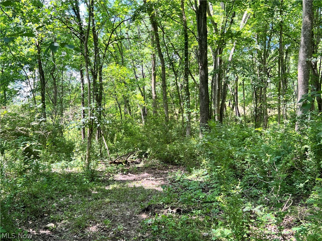 0 Snyder Drive Property Photo 30
