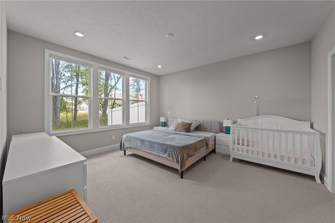 210 Lake Balaton Drive Property Photo 29