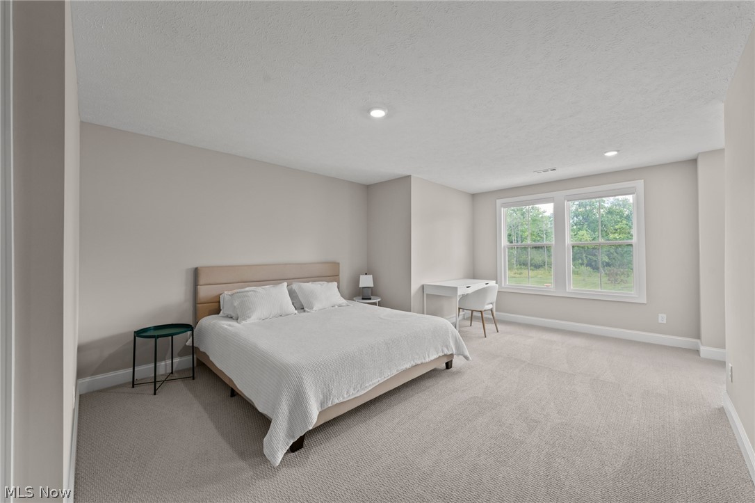 210 Lake Balaton Drive Property Photo 38