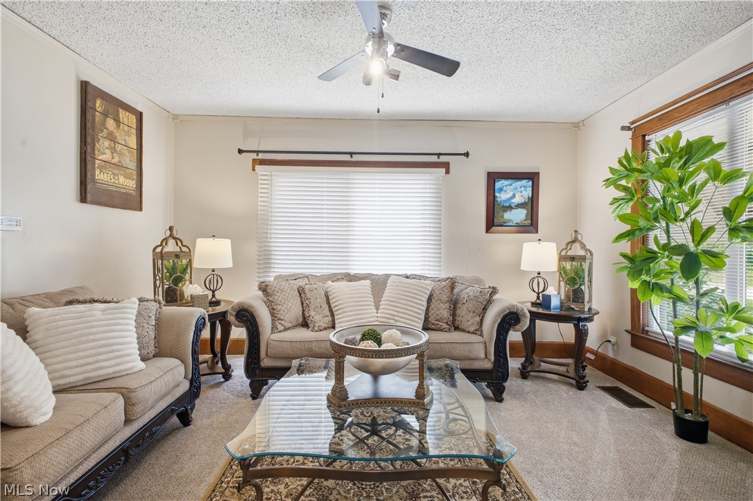 461 S Salem Warren Road Property Photo 30