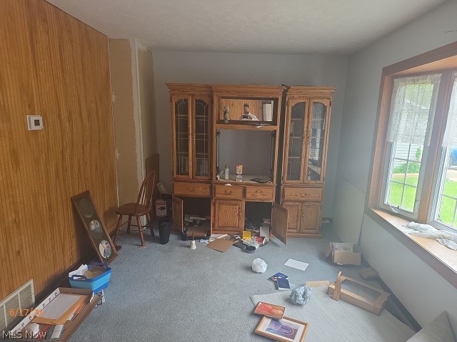 502 Maple Avenue Property Photo 14
