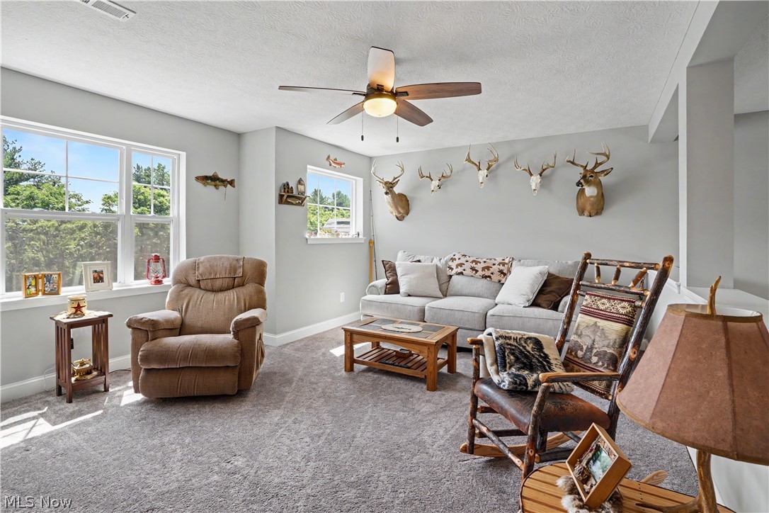 5667 N Torch Road Property Photo 19