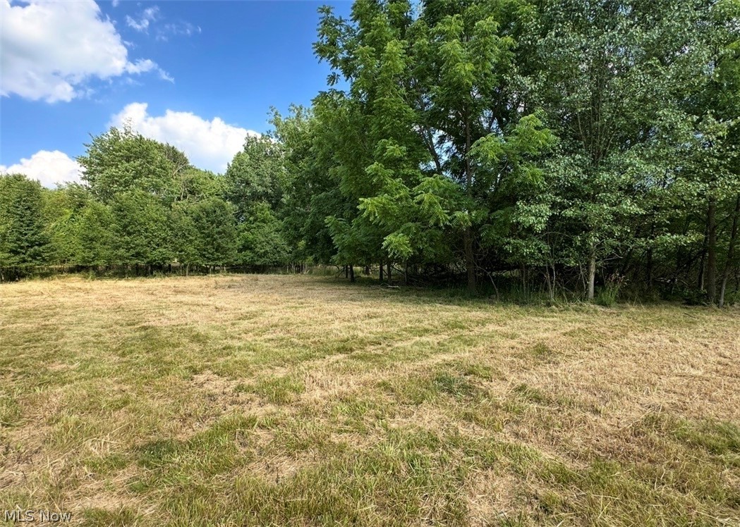 5218 Birkdale Street Nw Property Photo 8