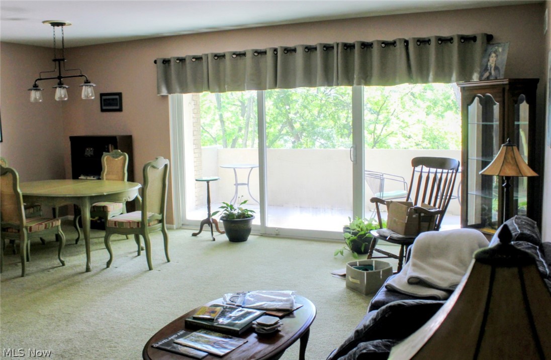 2109 Wooster Road 48 Property Photo 9
