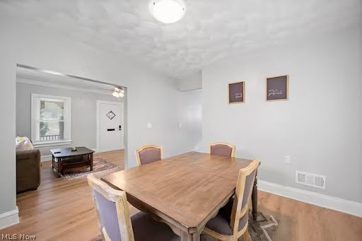 13802 Darley Avenue Property Photo 8