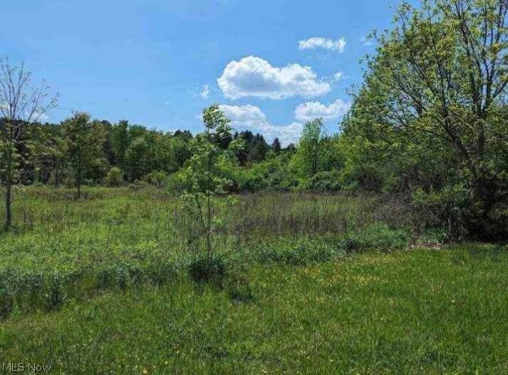 0 Ridgewood Road Property Photo 1