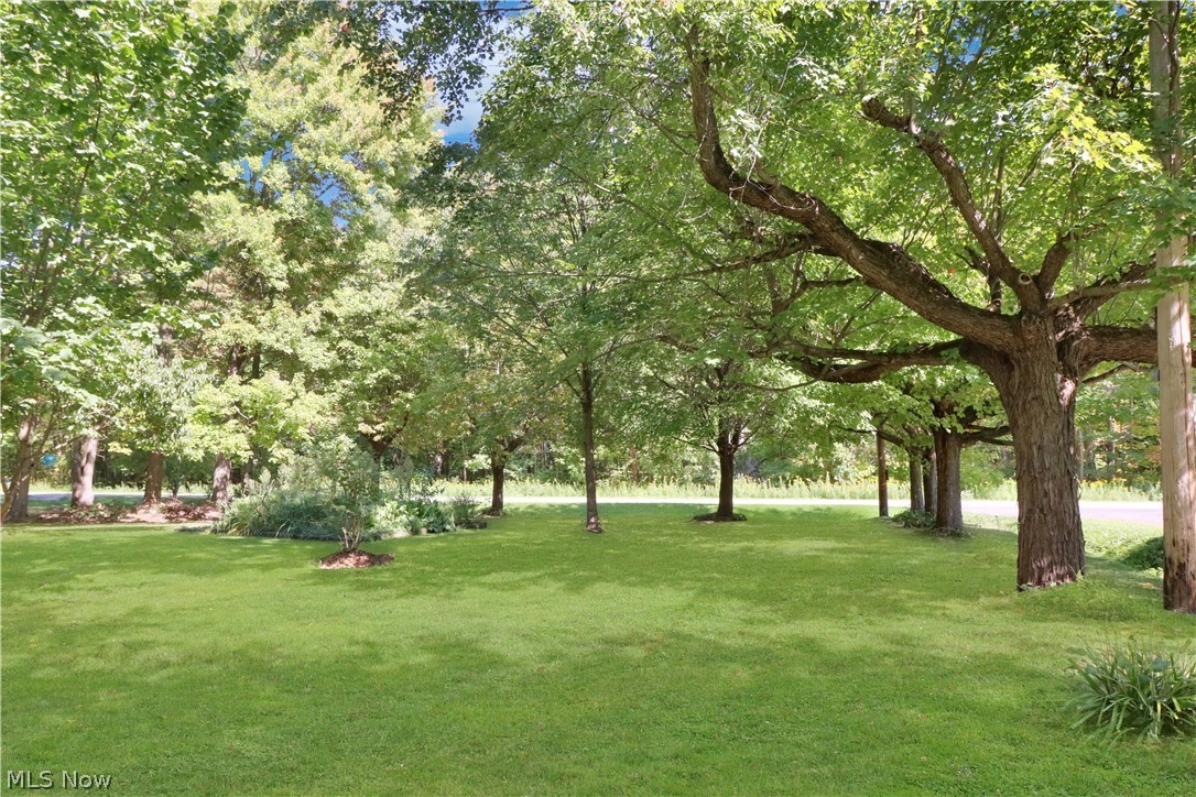 5123 4th Avenue Property Photo 2
