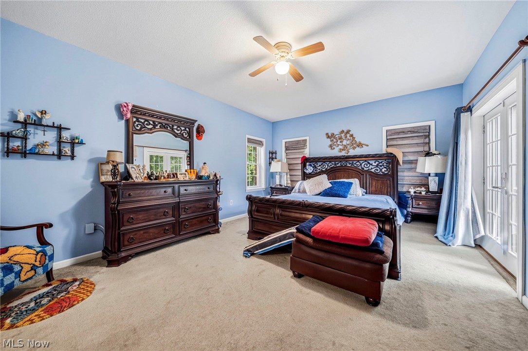 10401 Darrow Road Property Photo 13