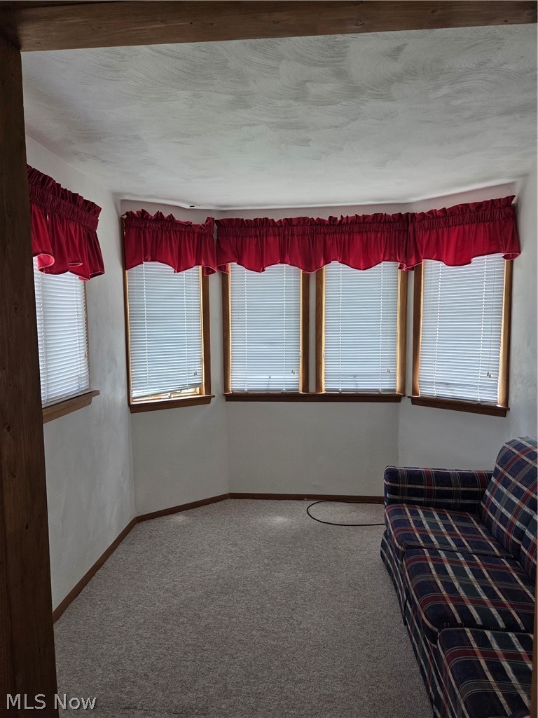 636 Lincoln Avenue Property Photo 18