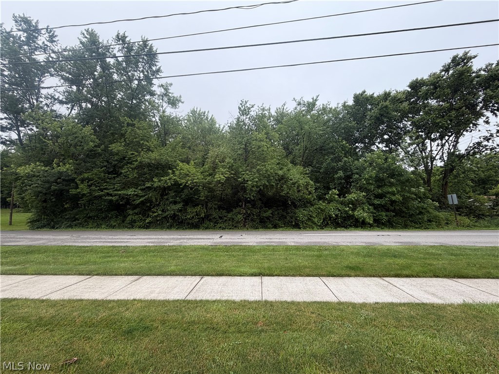 V/l Waverly Avenue Property Photo 1