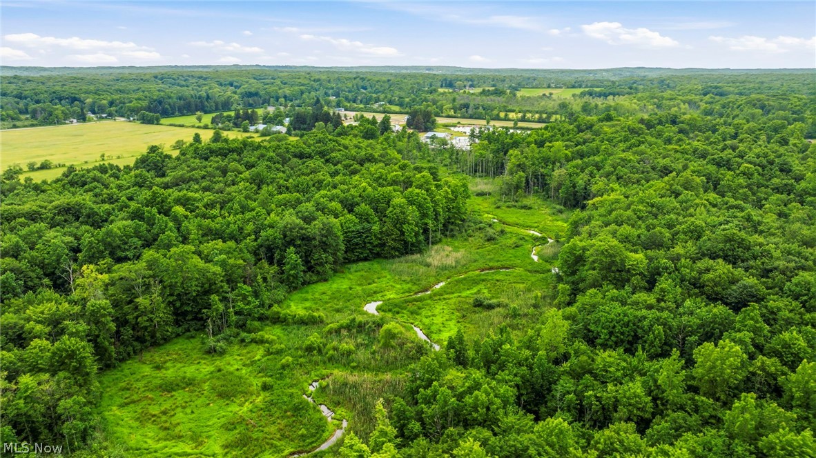 10803 Kile Road Property Photo 49