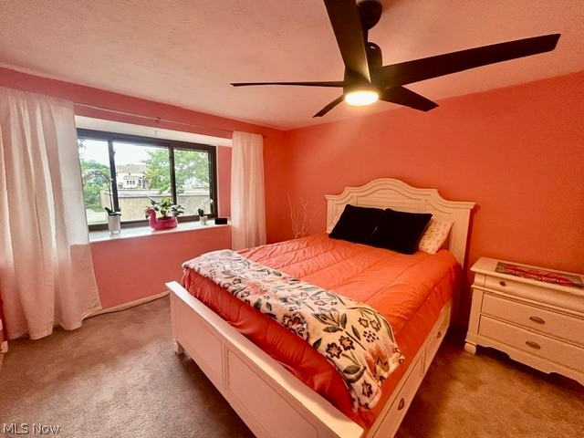 11558 Harbour Light Drive Property Photo 26