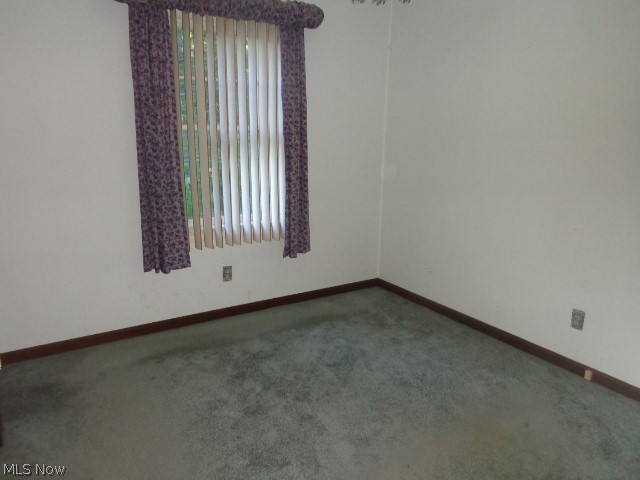 4455 Root Road Property Photo 17
