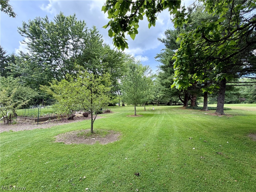 15794 Mayfield Road Property Photo 30