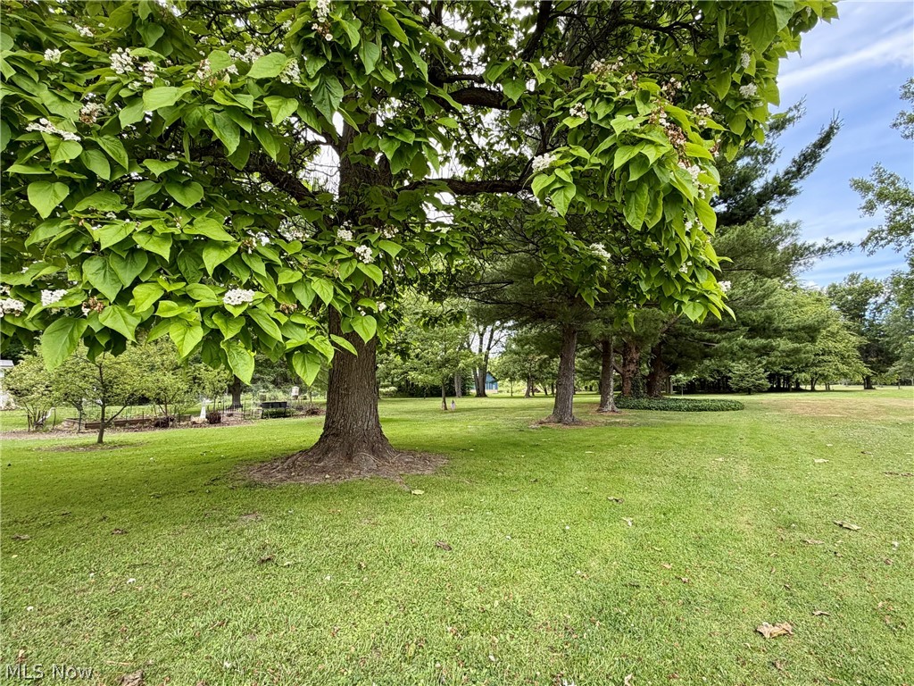 15794 Mayfield Road Property Photo 31