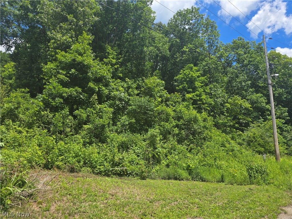 Hawks Road Property Photo 3