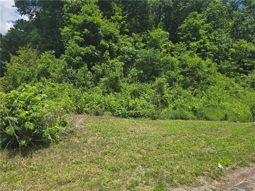 Hawks Road Property Photo 4