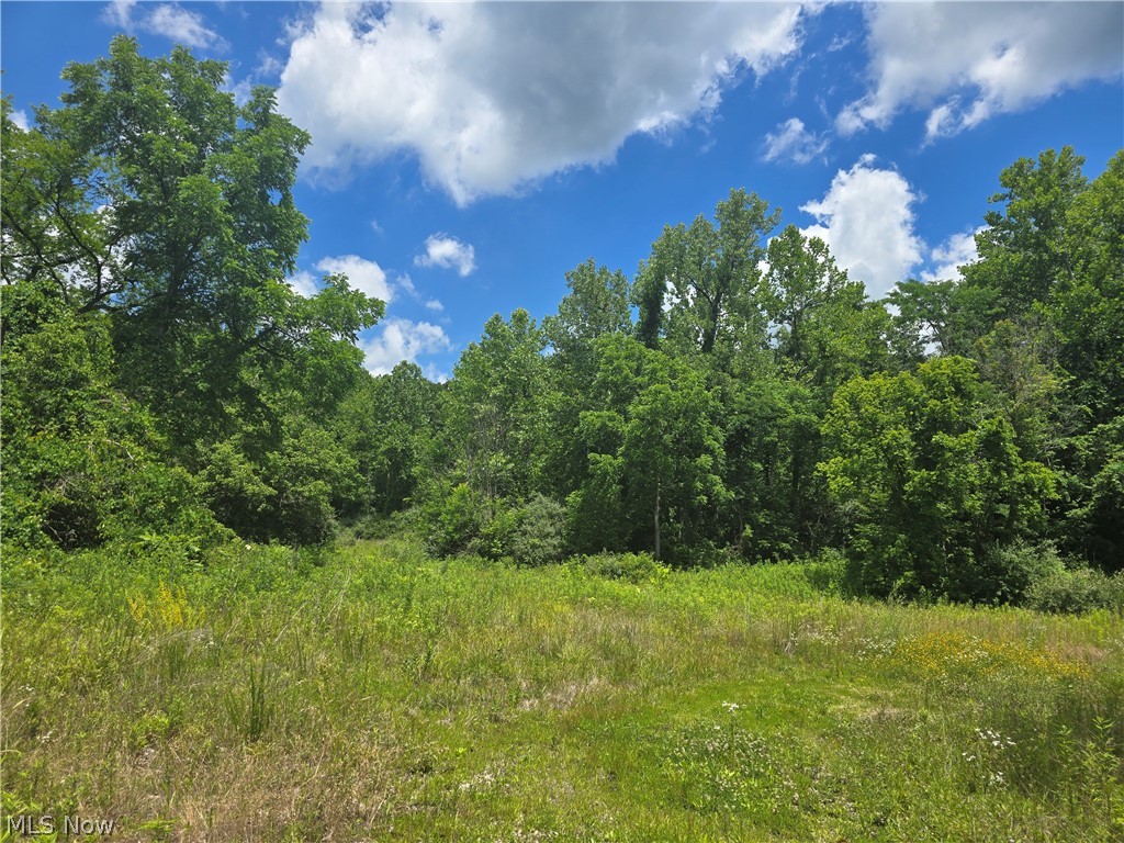 Hawks Road Property Photo 8