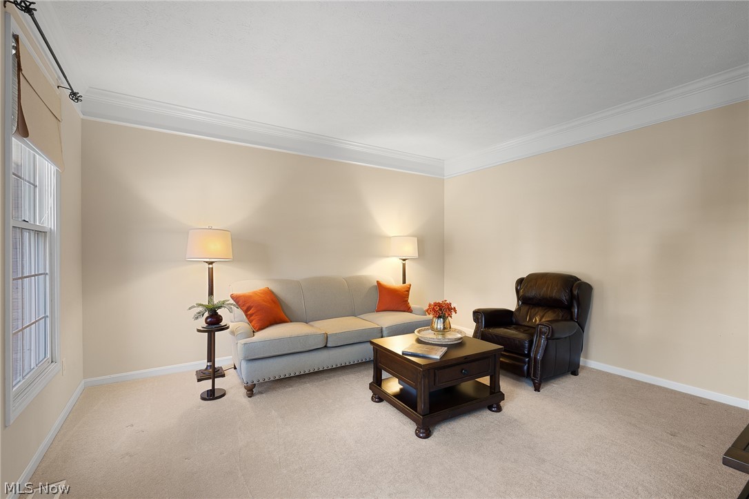 12300 Coopers Run Property Photo 8