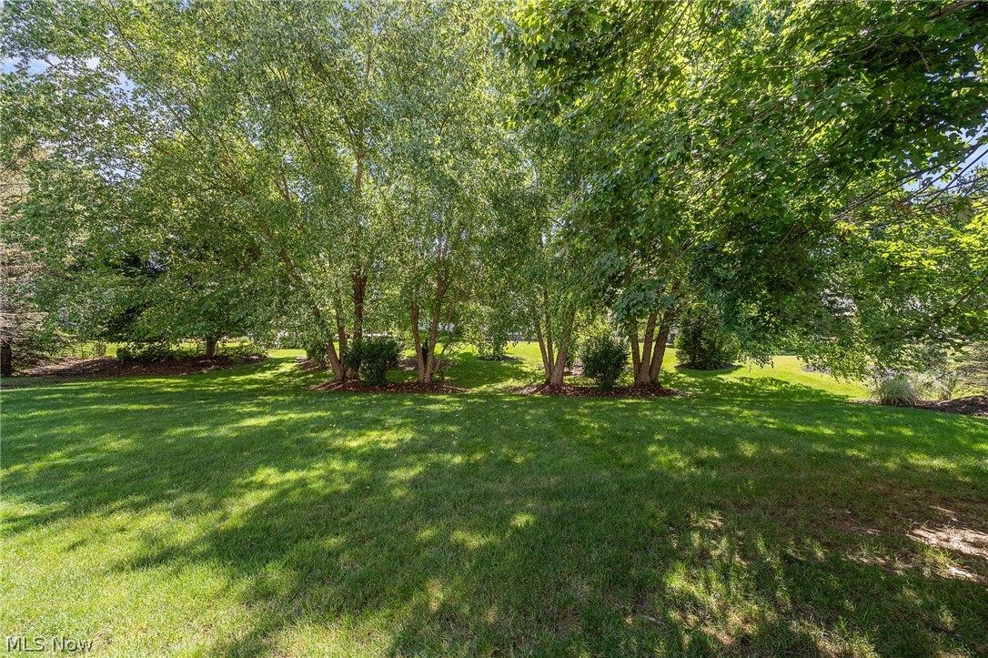 12300 Coopers Run Property Photo 43