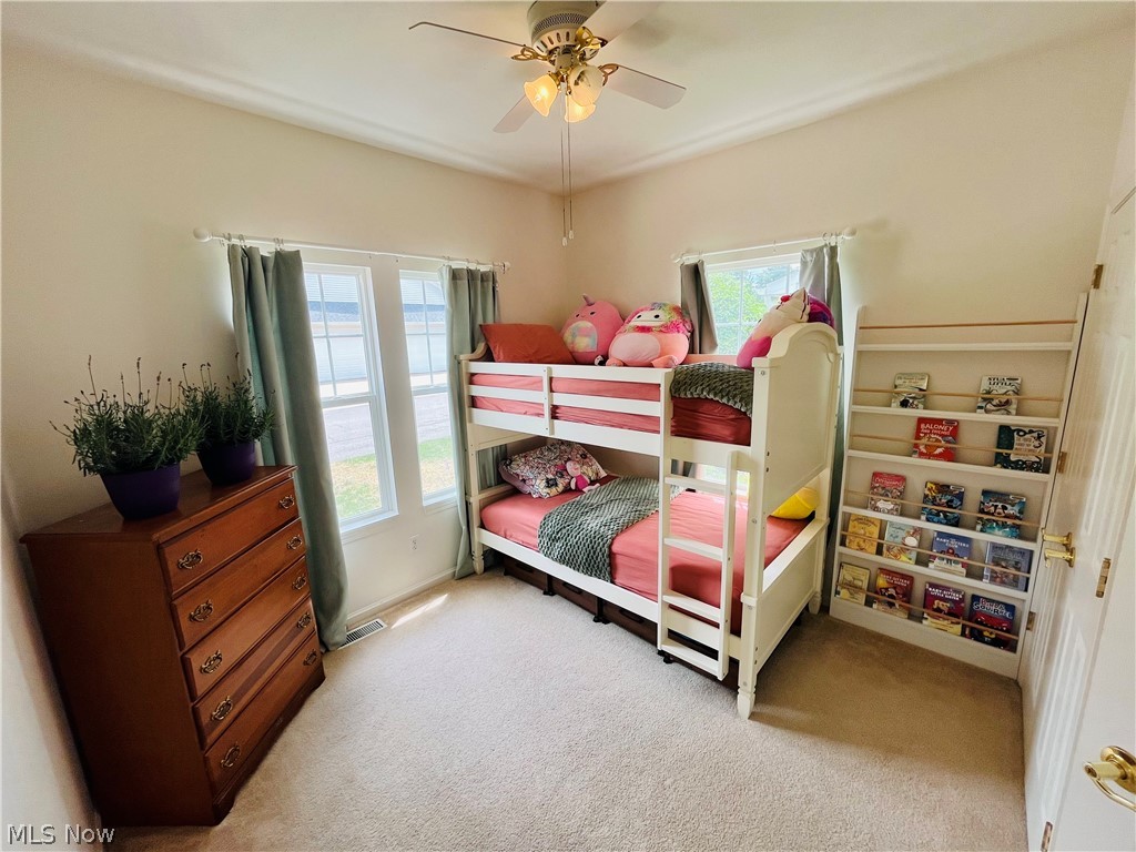 1205 E Mallard Drive Property Photo 16
