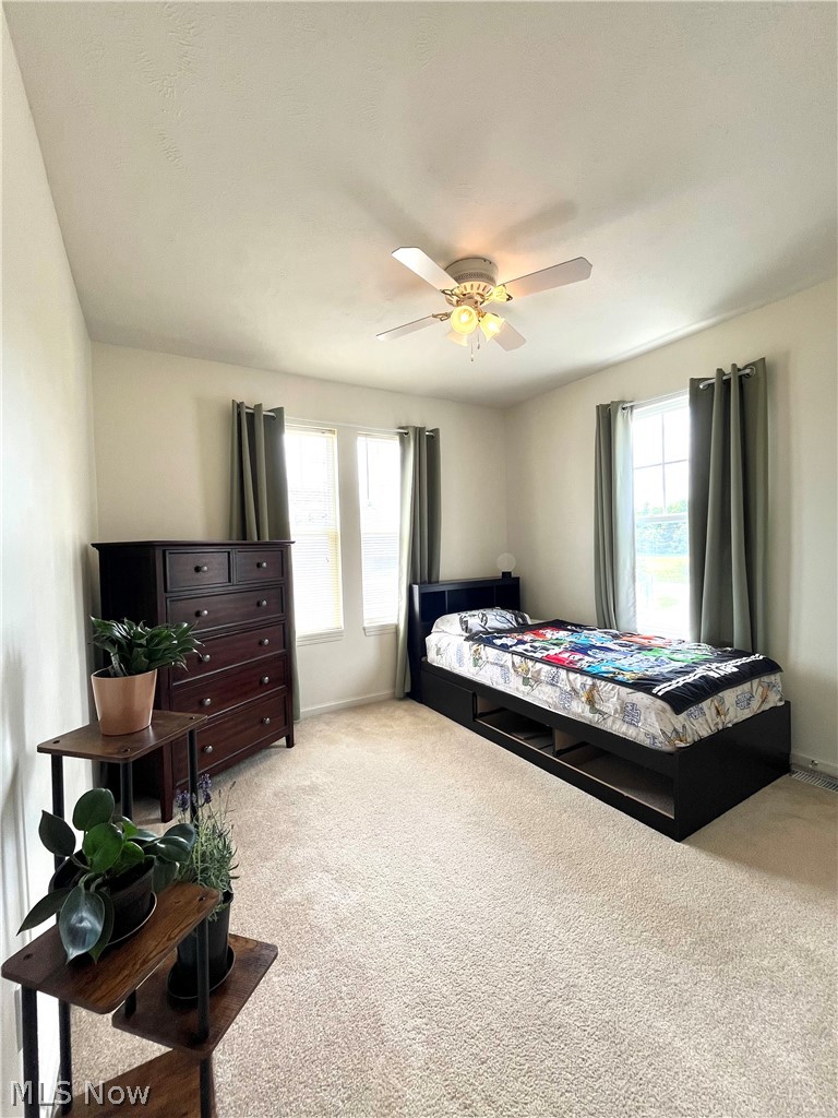 1205 E Mallard Drive Property Photo 37