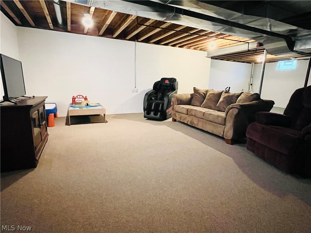 1205 E Mallard Drive Property Photo 43