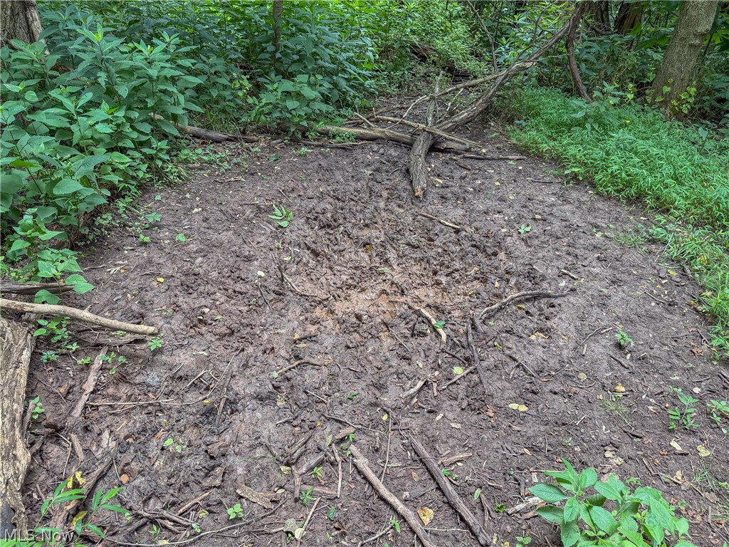 0 State Route 7 Property Photo 25