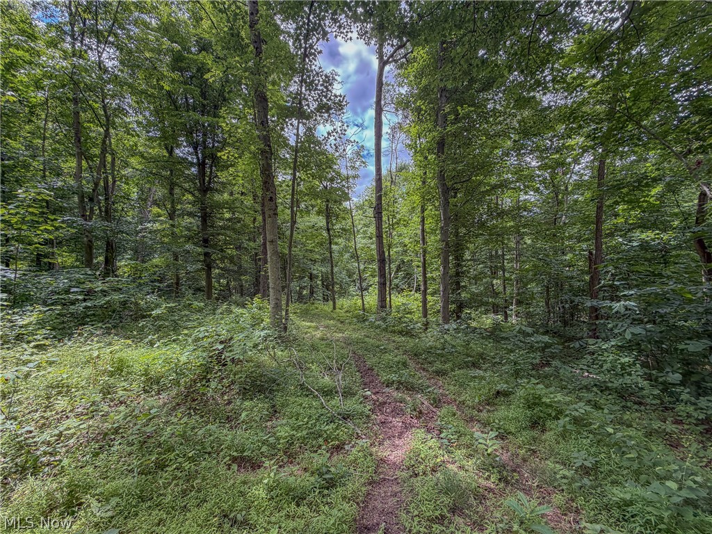 0 State Route 7 Property Photo 26