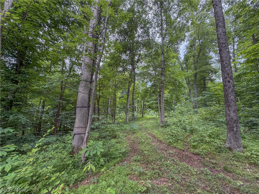 0 State Route 7 Property Photo 27