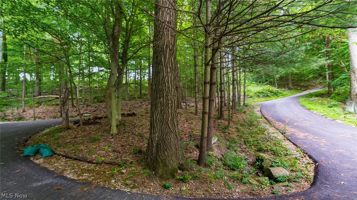 72845 Old Twenty One Road Property Photo 33