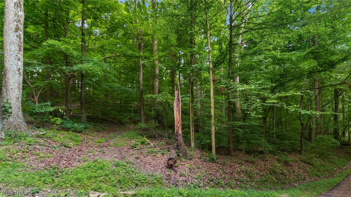72845 Old Twenty One Road Property Photo 34