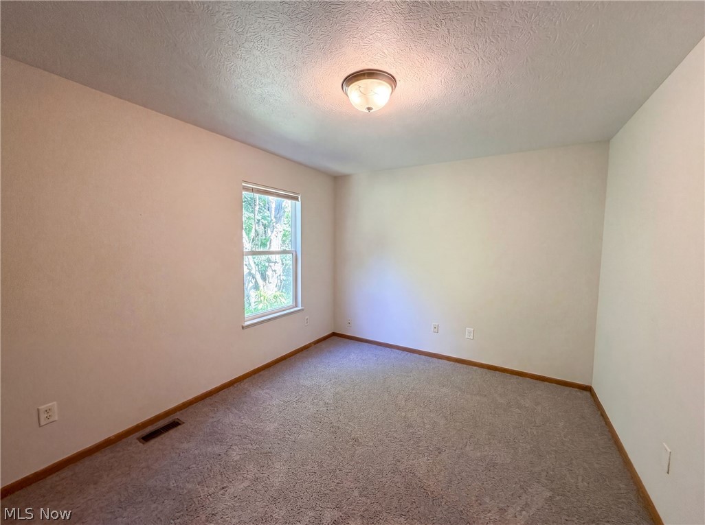 1004 Bellows Street Property Photo 4