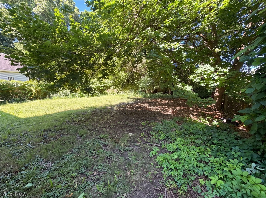 1004 Bellows Street Property Photo 16