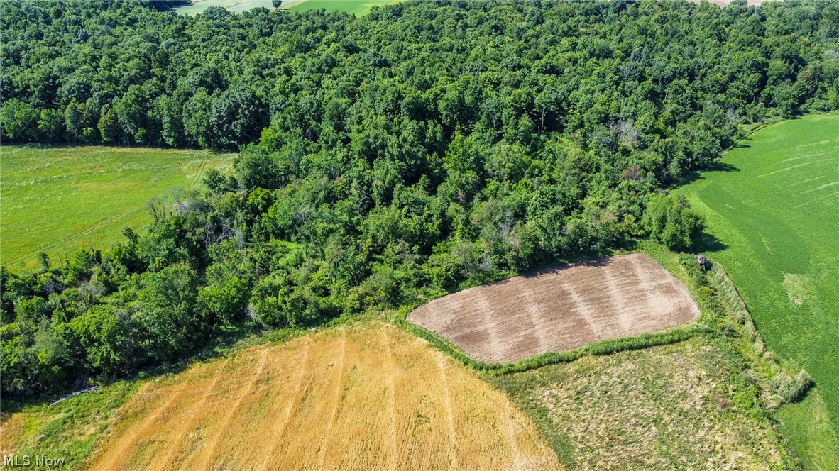 Holshoe Road Property Photo 14