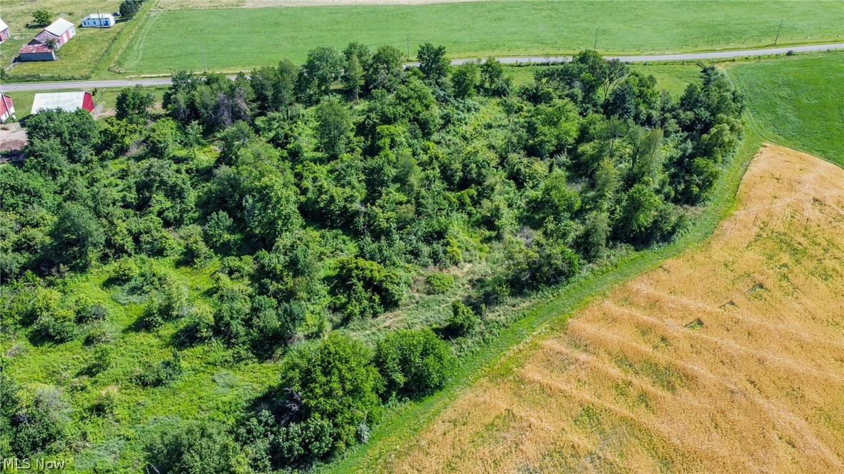 Holshoe Road Property Photo 15