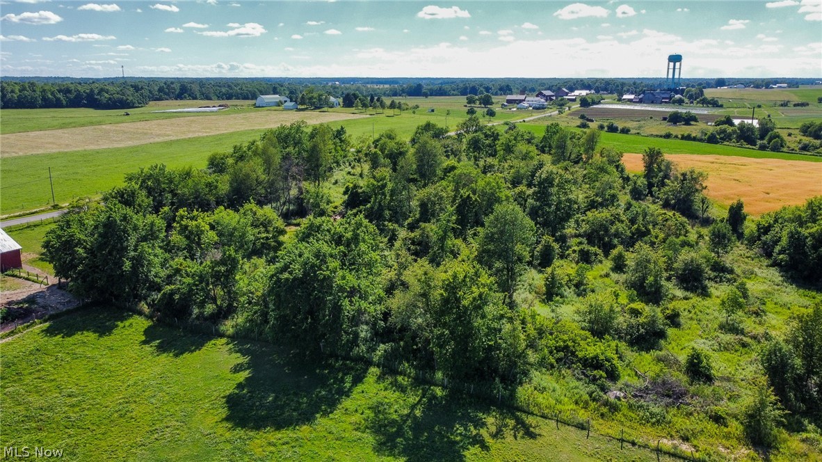 Holshoe Road Property Photo 21