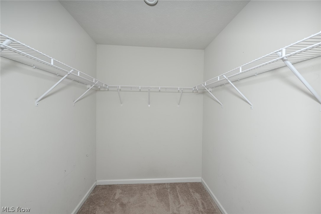 3220 Sunny Brook Drive Property Photo 19