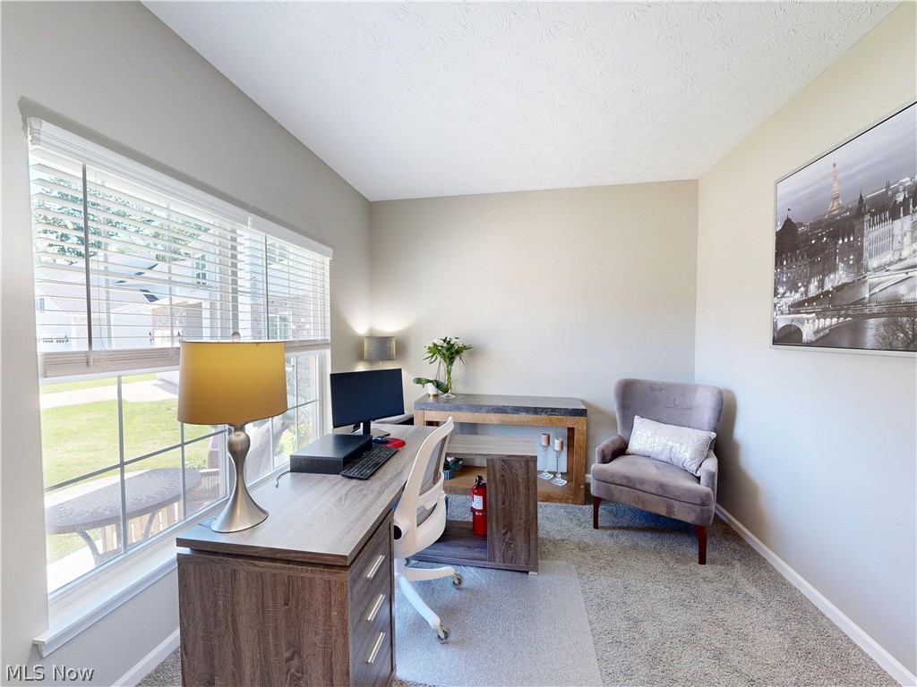 1223 Selena Grove Property Photo 4