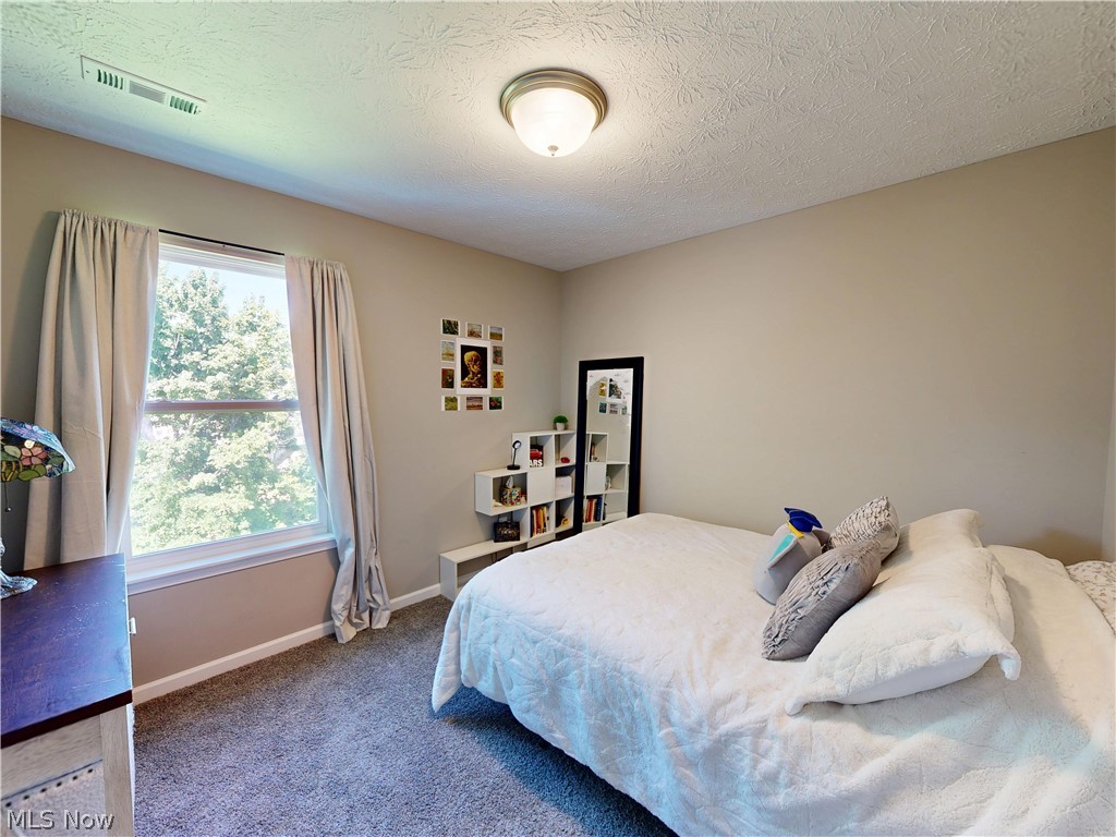 1223 Selena Grove Property Photo 22