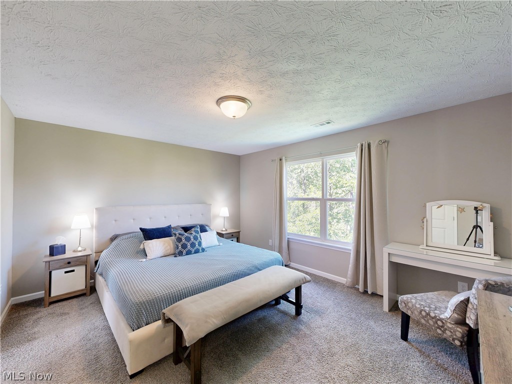 1223 Selena Grove Property Photo 23