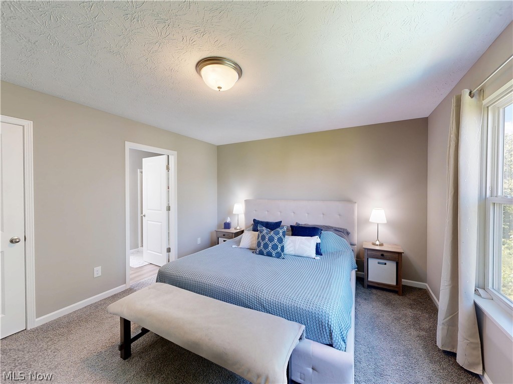 1223 Selena Grove Property Photo 24